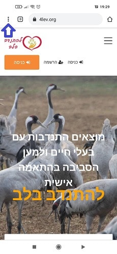 הוספת קיצור דרך לאתר להתנדב בלב - התנדבות עם בעלי חיים. אנדרואיד שלב 1