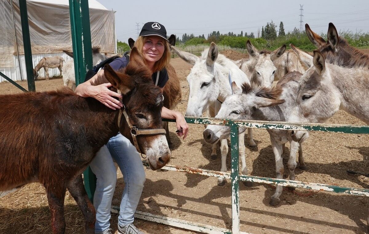 התנדבות בהתאמה אישית, בדיוק מה שאתם צריכים. התנדבויות מיוחדות