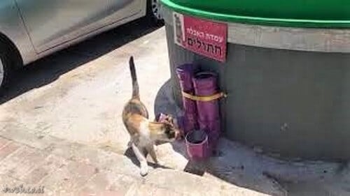 חשוב מאוד השאיר מים לבעלי החיים בחוץ