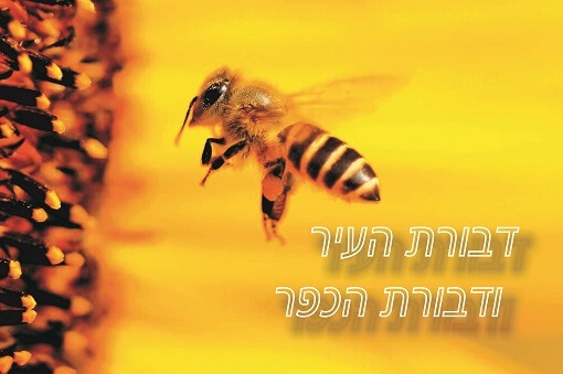 חשיבות הדבורים, סיורים במרכז, התנדבות עם בעלי חיים