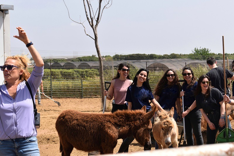התנדבות עם בעלי חיים בחווה שיקומית עם חמורים, כבשים, סוסים כלבים וחתולים