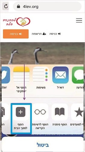 הוספת קיצור דרך לאתר להתנדב בלב - התנדבות עם בעלי חיים. אייפון שלב 2