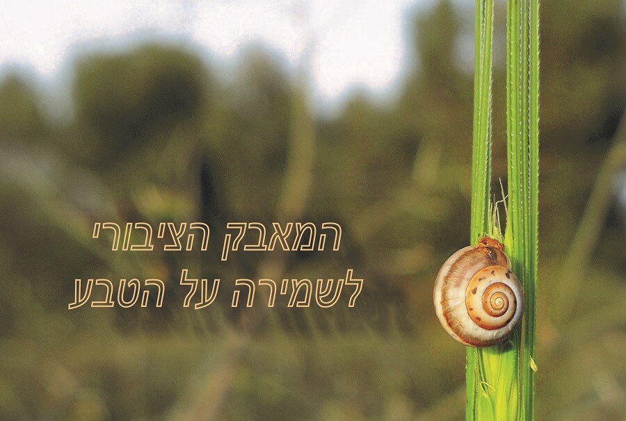 מאבק ציפורי לשמירה על הטבע. מתנדבים