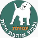 company profile image
